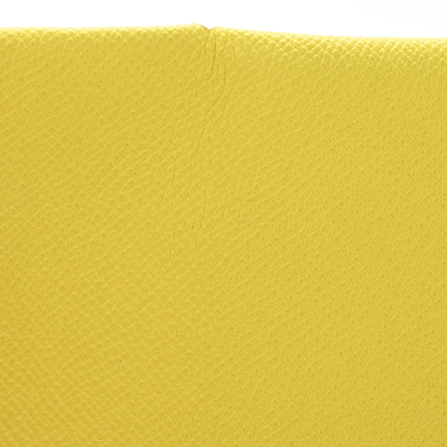 Epsom Calvi Card Case Lime