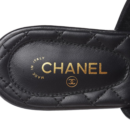 Chanel Lambskin Camellia Sandals 35.5 Black 7 of 11