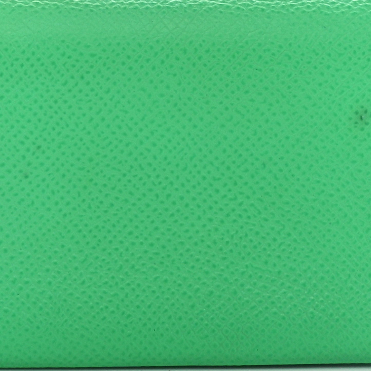 Epsom Verso Calvi Duo Card Case Vert Comics Vert Fizz