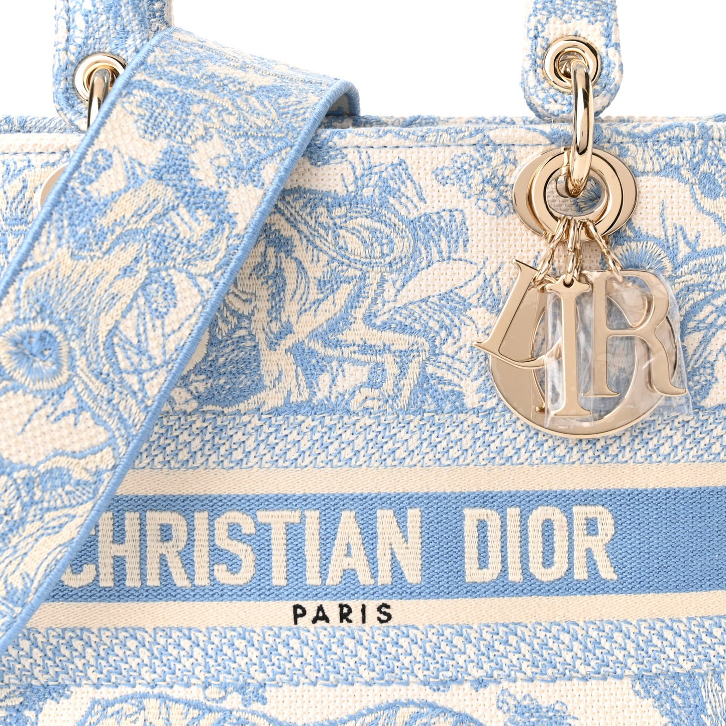 Canvas Toile De Jouy Embroidered Medium Lady D-Lite Blue