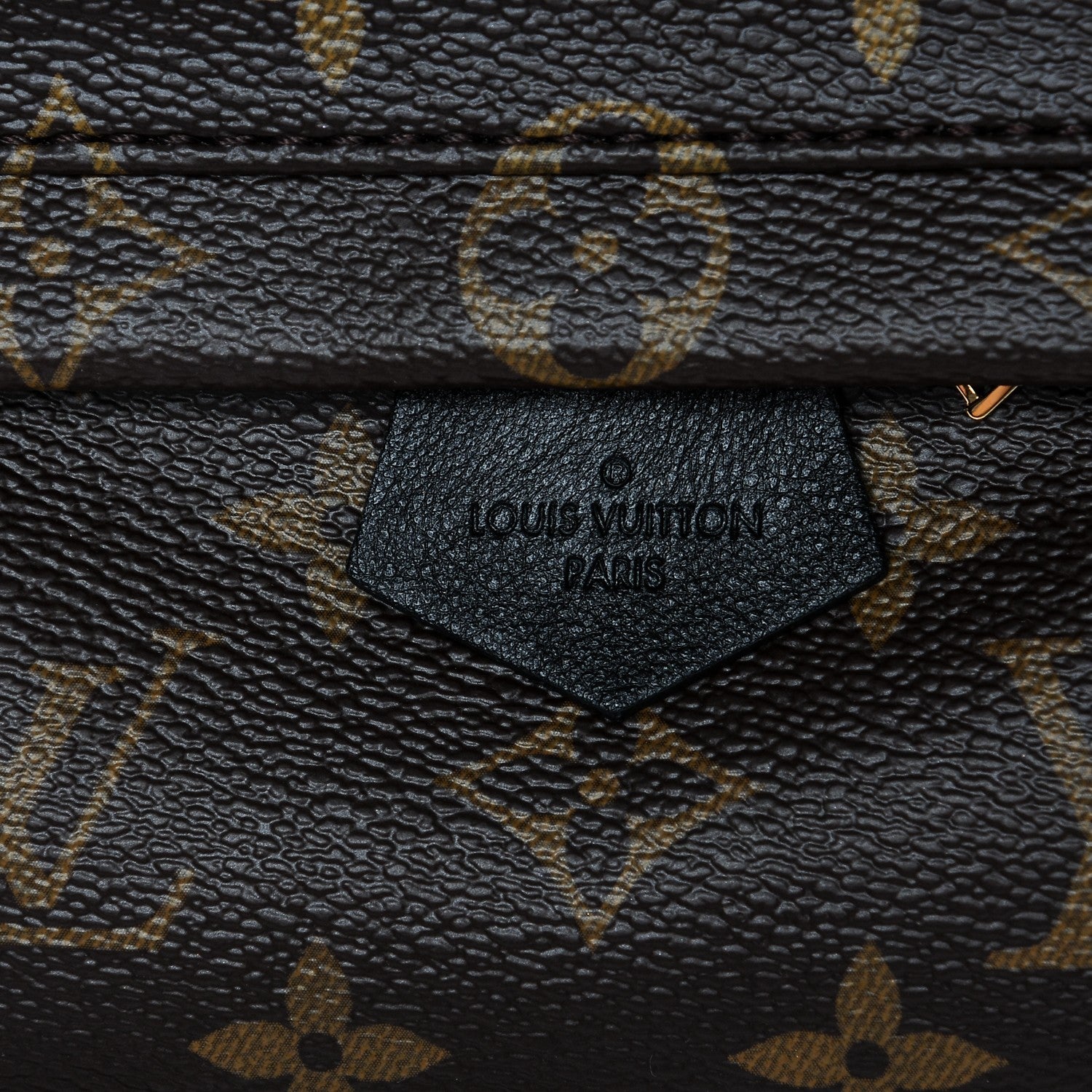 Louis Vuitton Monogram Palm Springs Backpack Mini 6 of 8