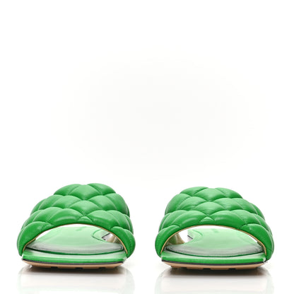 Bottega Veneta Nappa Matelasse Padded Flat Sandals 39.5 Parakeet 2 of 8