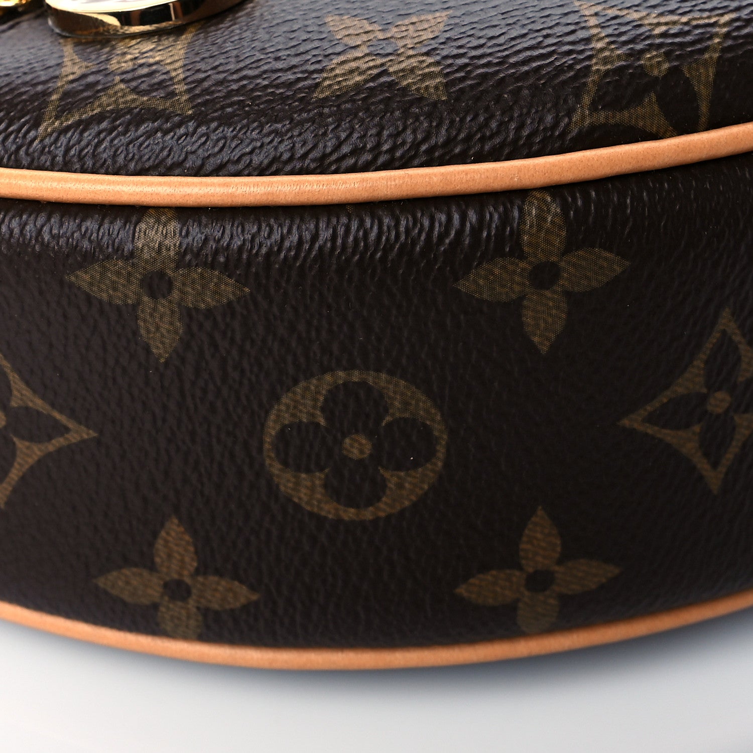 Louis Vuitton Monogram Loop 8 of 9