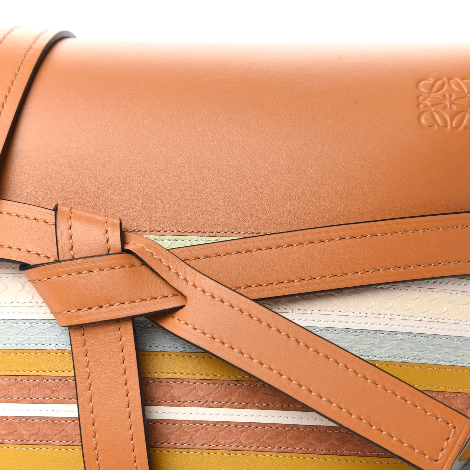 Loewe Snake Embossed Calfskin Striped Gate Crossbody Bag Multicolor 9 of 10