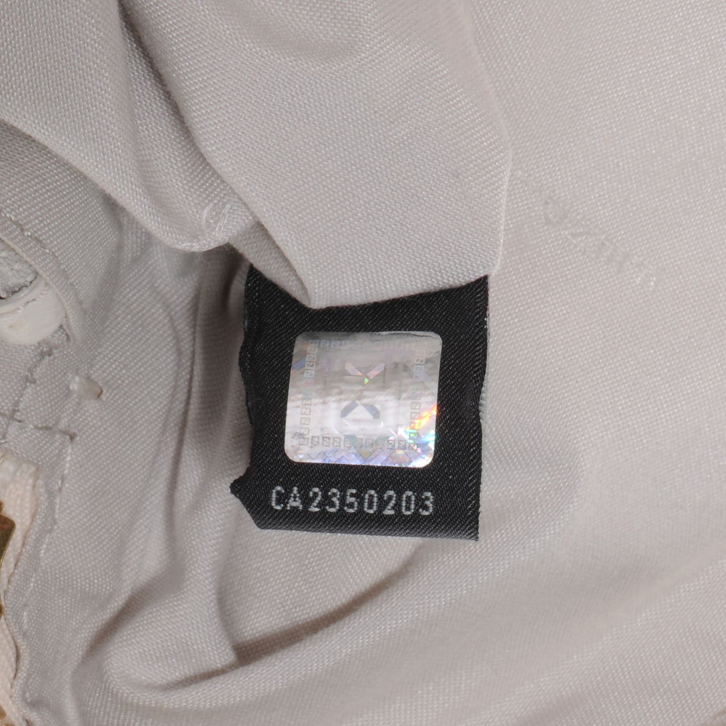 Calfskin Small Chameleon Tote Bianco