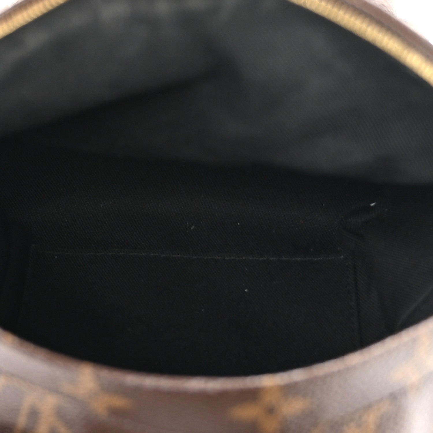 Louis Vuitton Monogram Palm Springs Backpack Mini 5 of 11