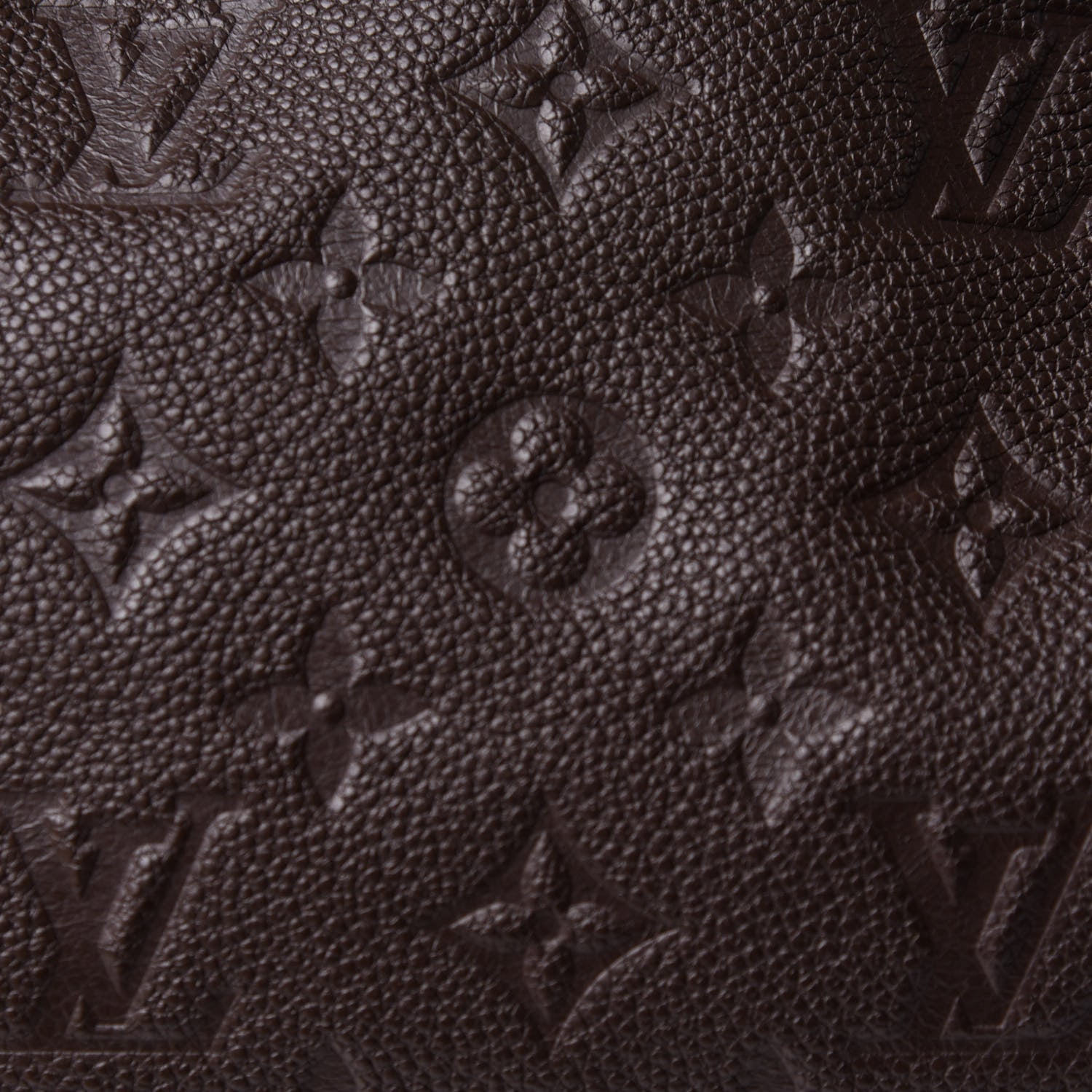 Louis Vuitton Empreinte Suede Audacieuse GM Terre 7 of 12