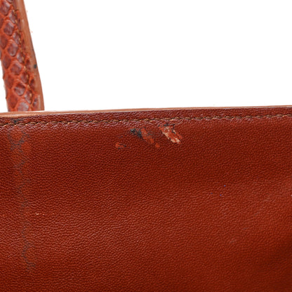 Celine Snakeskin Medium Phantom Luggage Chestnut 12 of 13