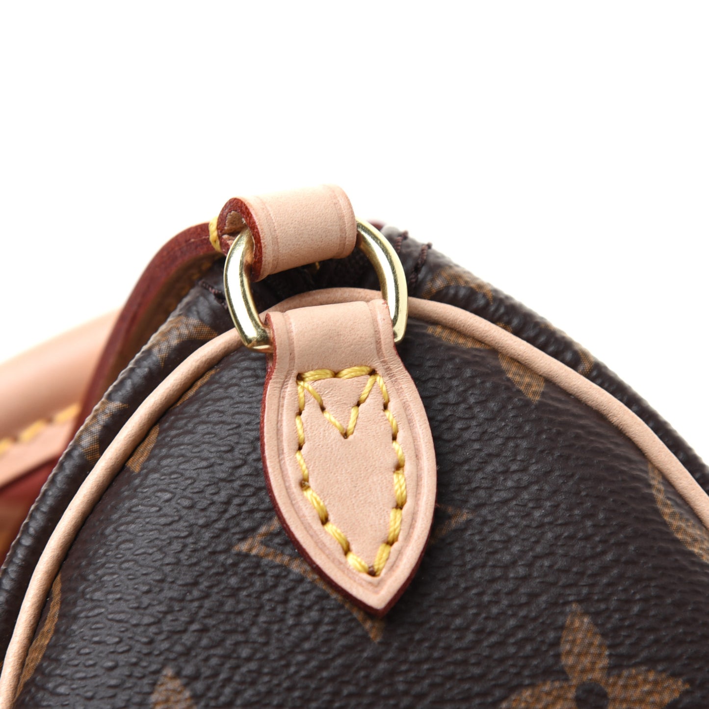 Monogram Nano Speedy