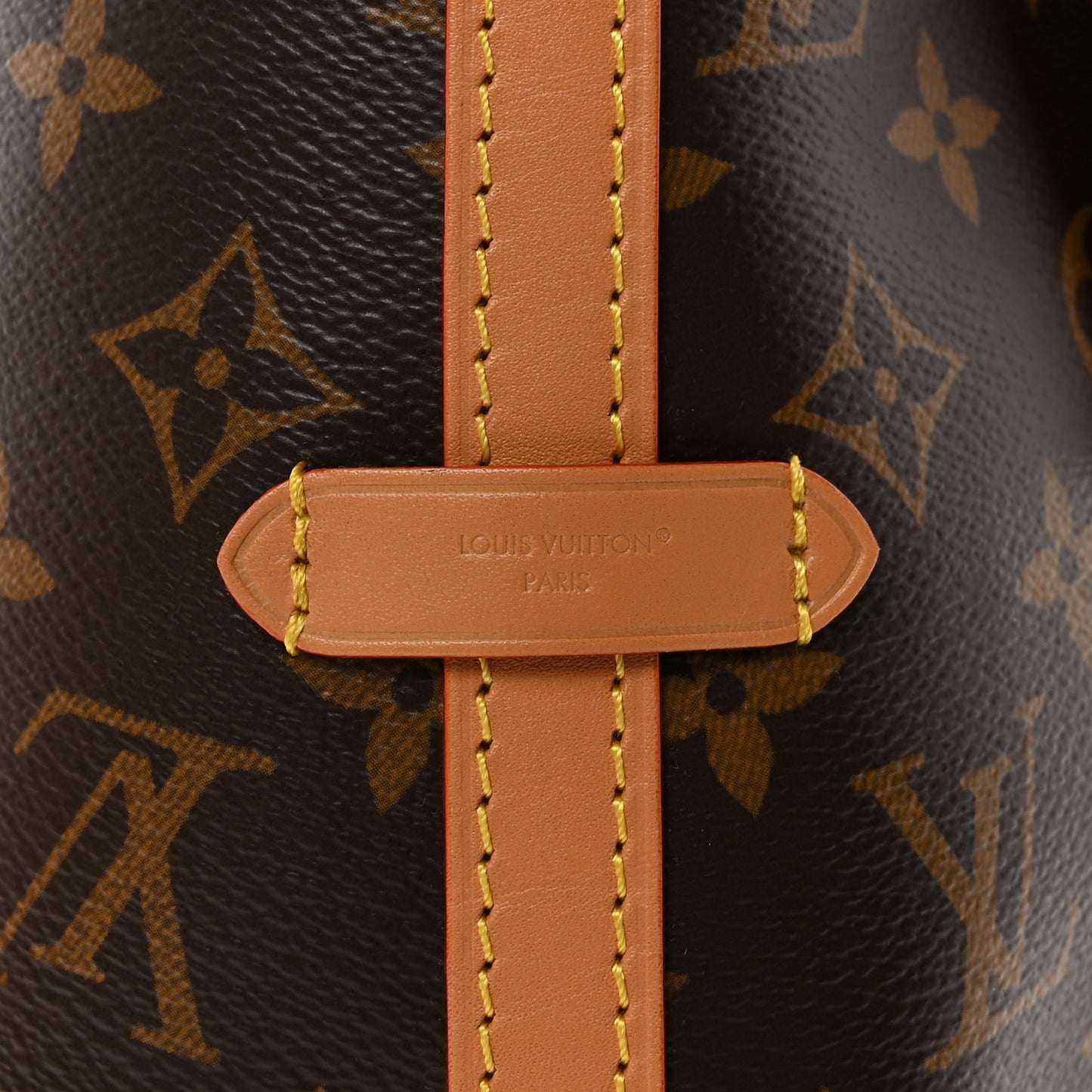 Monogram Carryall PM