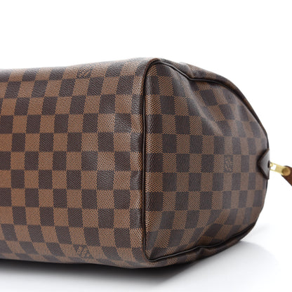 Louis Vuitton Damier Ebene Speedy 30 7 of 10
