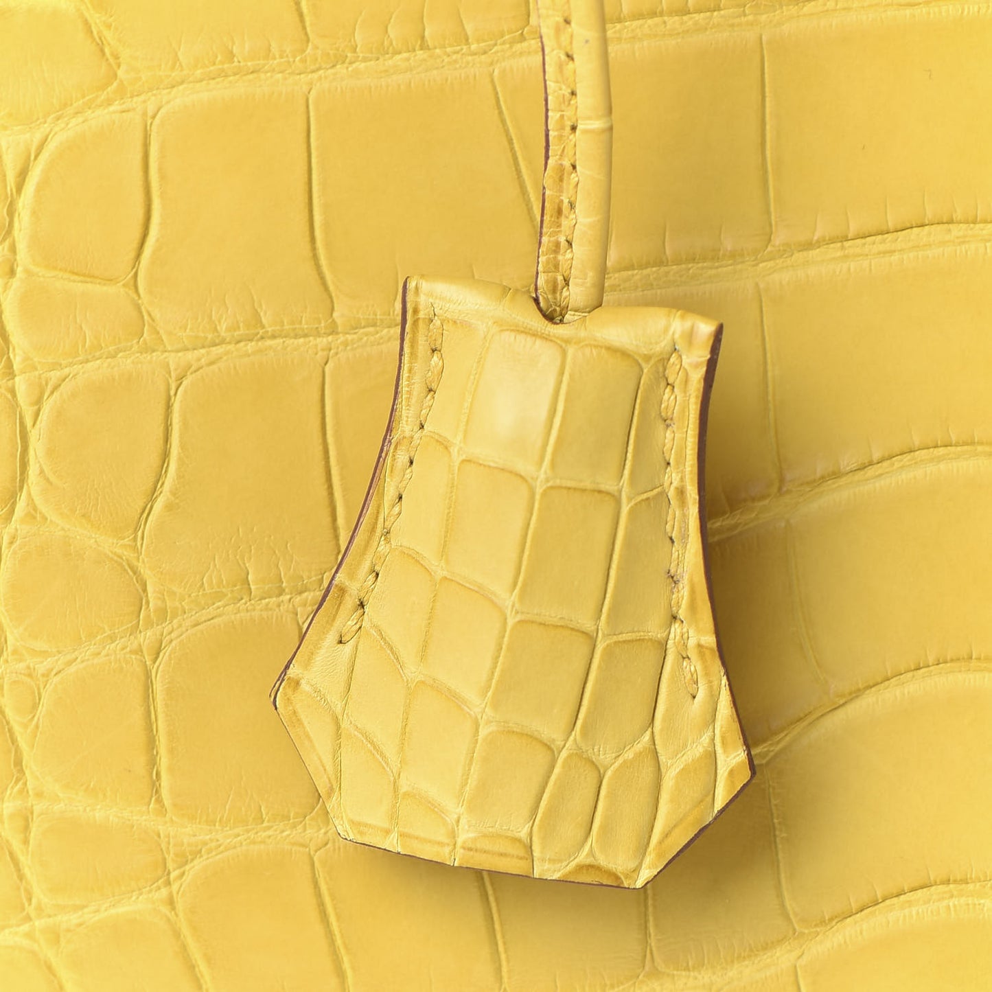Matte Alligator Birkin 25 Jaune Ambre
