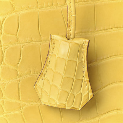 Hermes Matte Alligator Birkin 25 Jaune Ambre 31 of 33