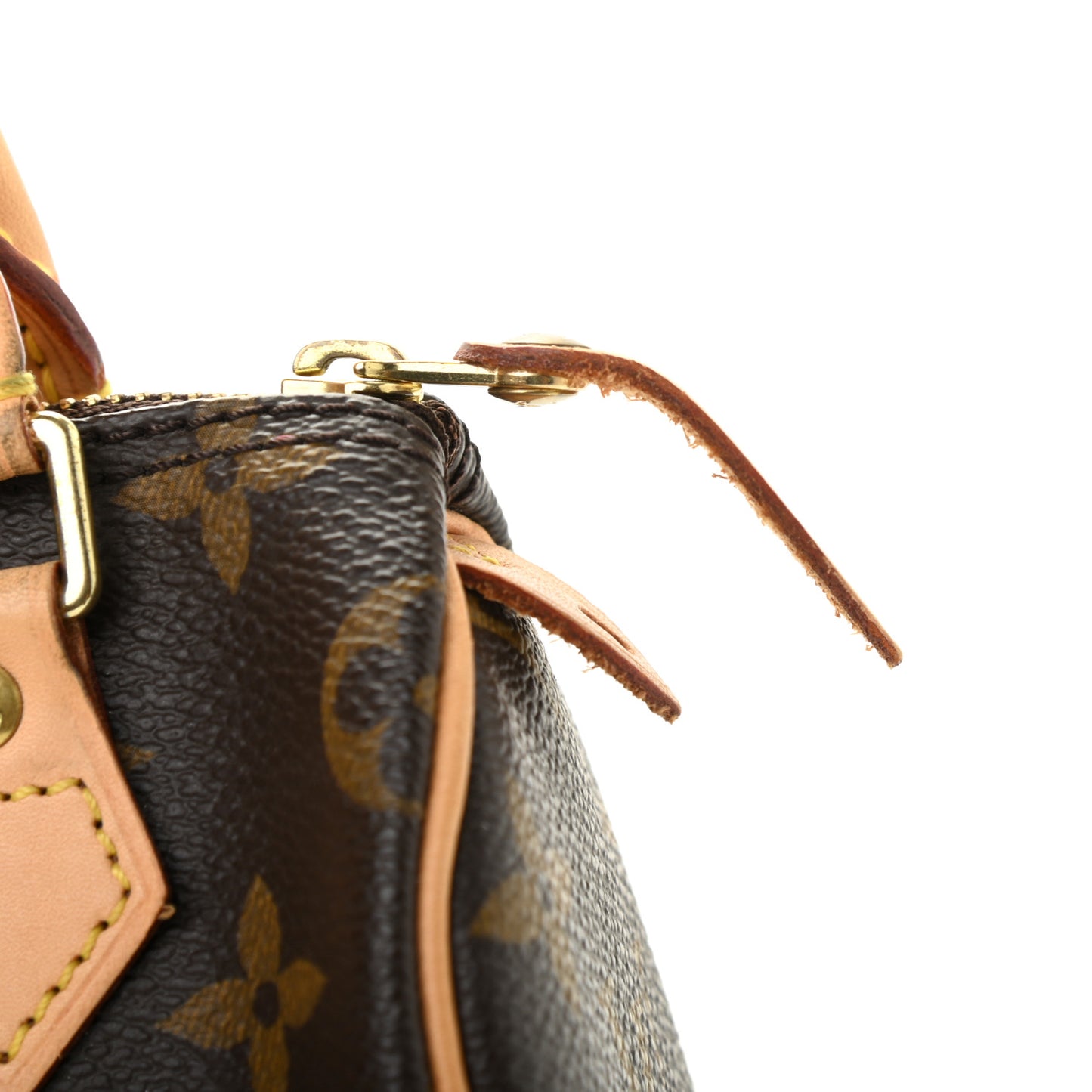 Monogram Mini Sac HL Speedy