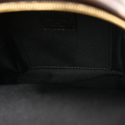 Louis Vuitton Monogram Palm Springs Backpack Mini 5 of 10