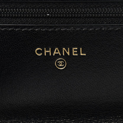 Chanel Goatskin Quilted Chanel 19 Wallet On Chain WOC Black 6 of 11