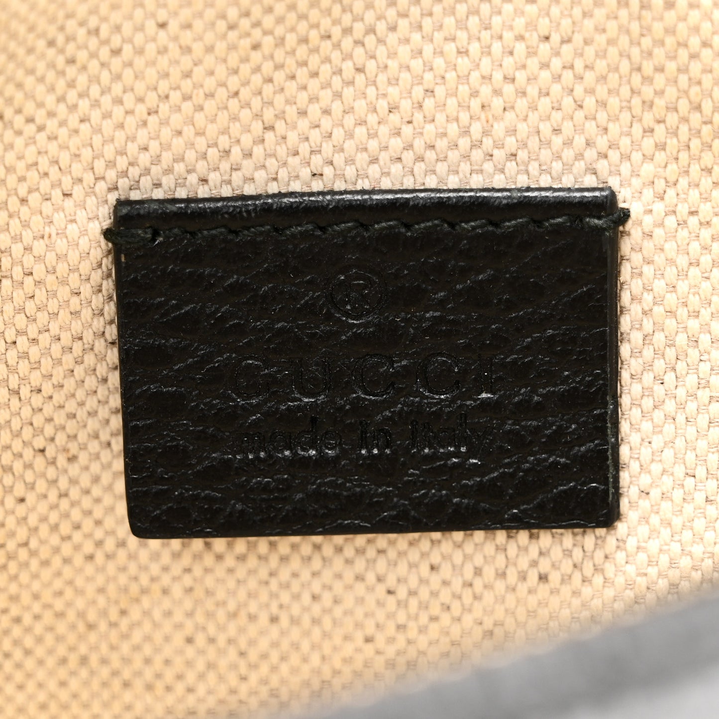 Grained Calfskin Sylvie Web Kingsnake Small Camera Bag Black Multicolor