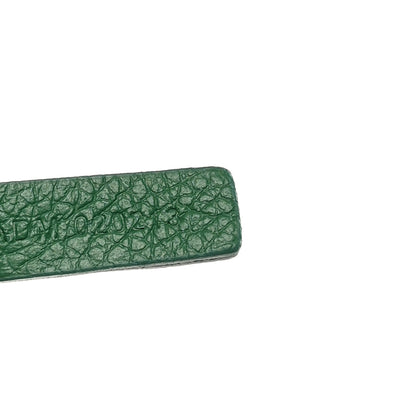 Goyard Goyardine Saint Louis PM Green 8 of 11
