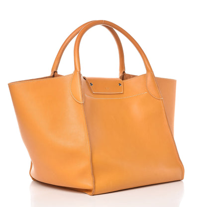 Celine Soft Bare Calfskin Medium Big Bag Dark Yellow 3 of 15