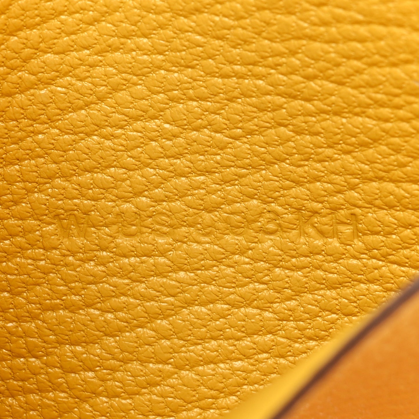 Chevre Mysore Bearn Card Holder Wallet Sun