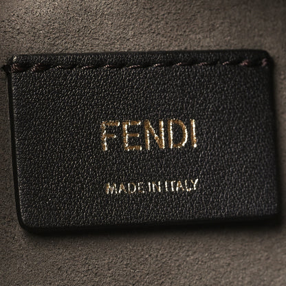 Fendi Vitello Century Opaco F is Fendi Camera Case Amido 6 of 11