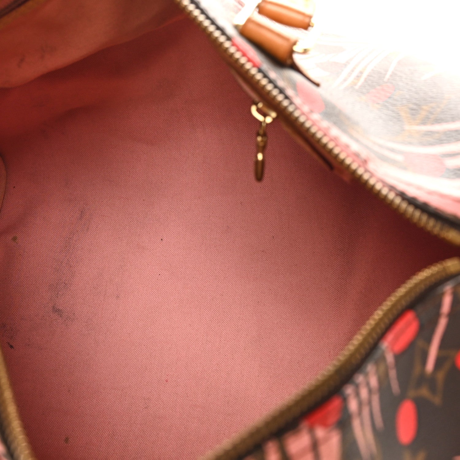 Louis Vuitton Monogram Jungle Dots Speedy 30 Sugar Pink Poppy 5 of 11
