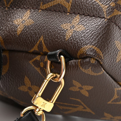 Louis Vuitton Monogram Palm Springs Backpack Mini 15 of 15