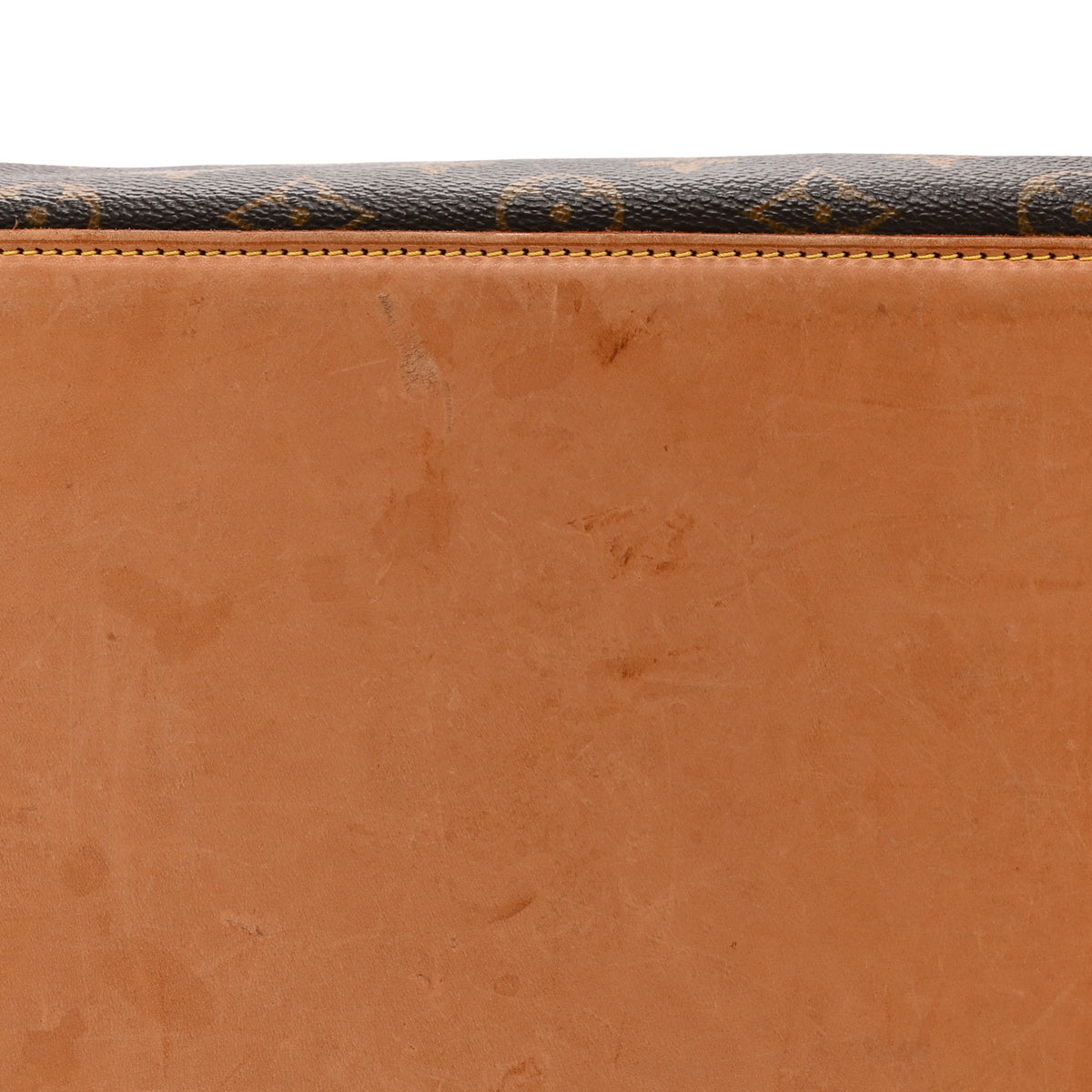 Monogram Cabas Mezzo