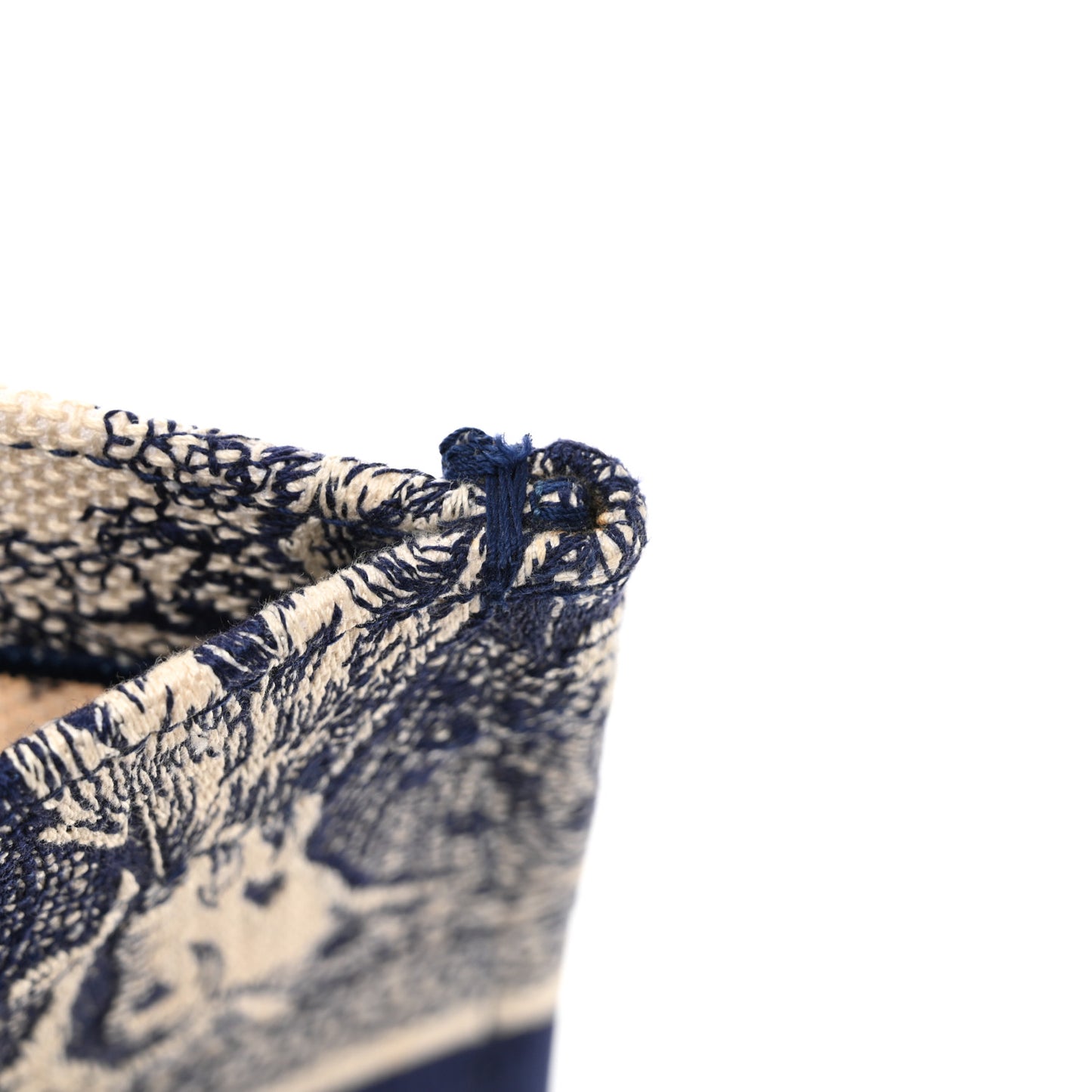 Canvas Embroidered Medium Dioriviera Toile De Jouy Book Tote Blue