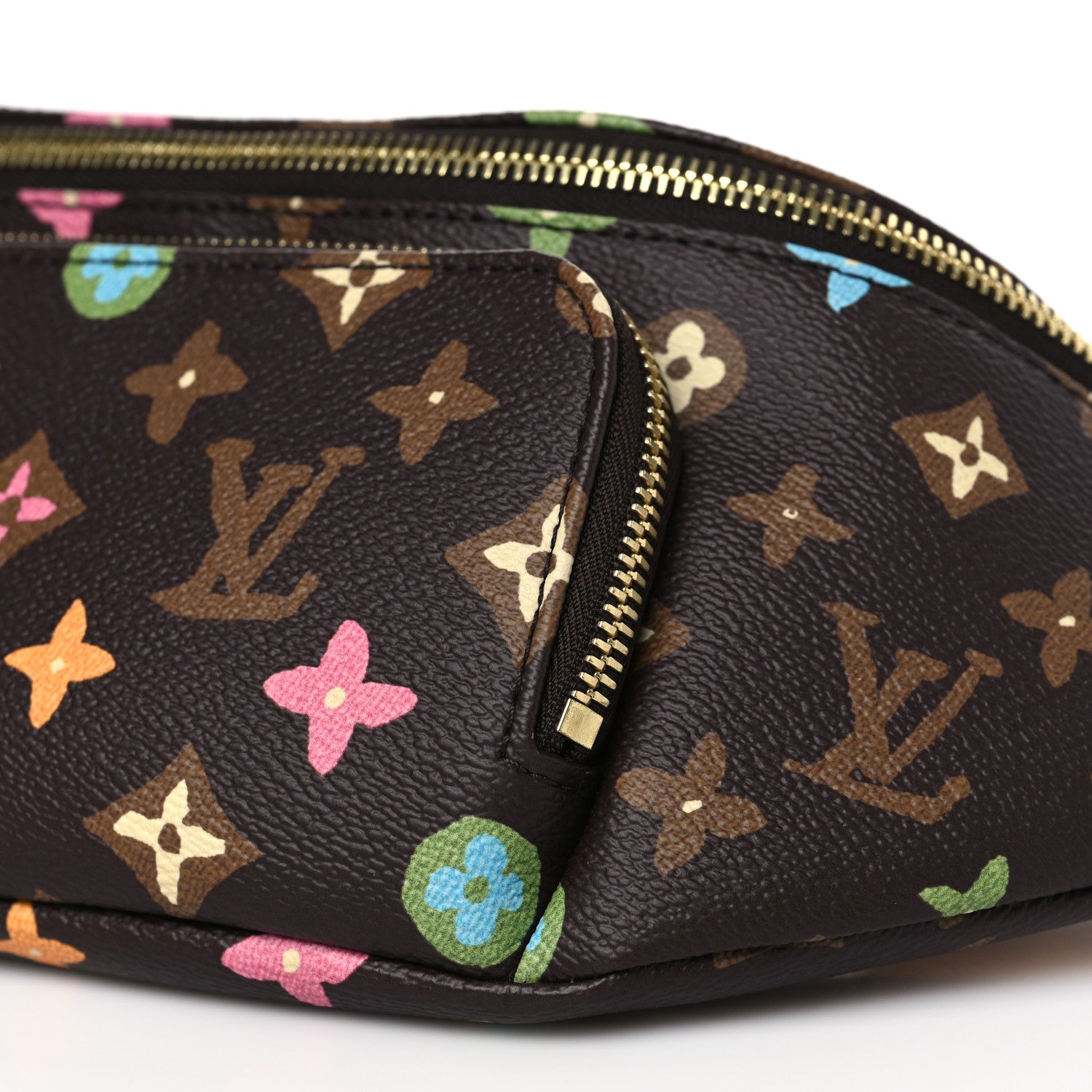 Louis Vuitton X TYLER THE CREATOR Monogram Craggy Rush Bumbag 9 of 10