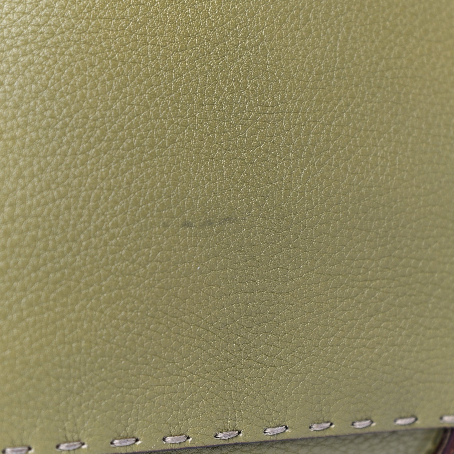 Calfskin Romano Selleria Villa Borghese Tote Green