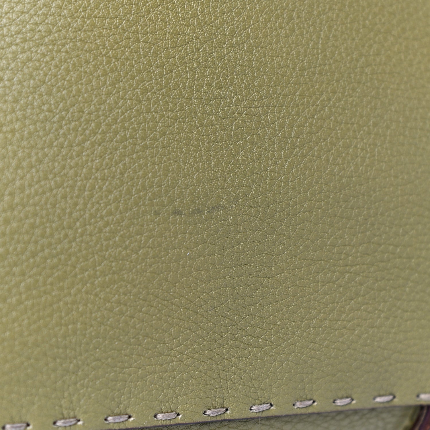 Fendi Calfskin Romano Selleria Villa Borghese Tote Green 13 of 18