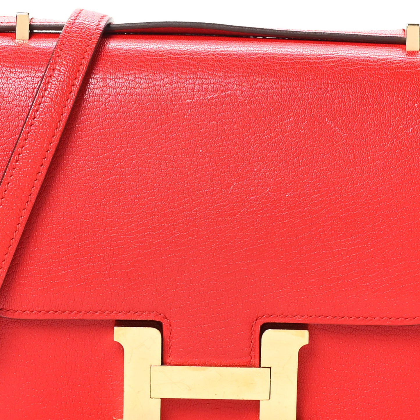 Chevre Mysore Constance 18 Rouge De Coeur