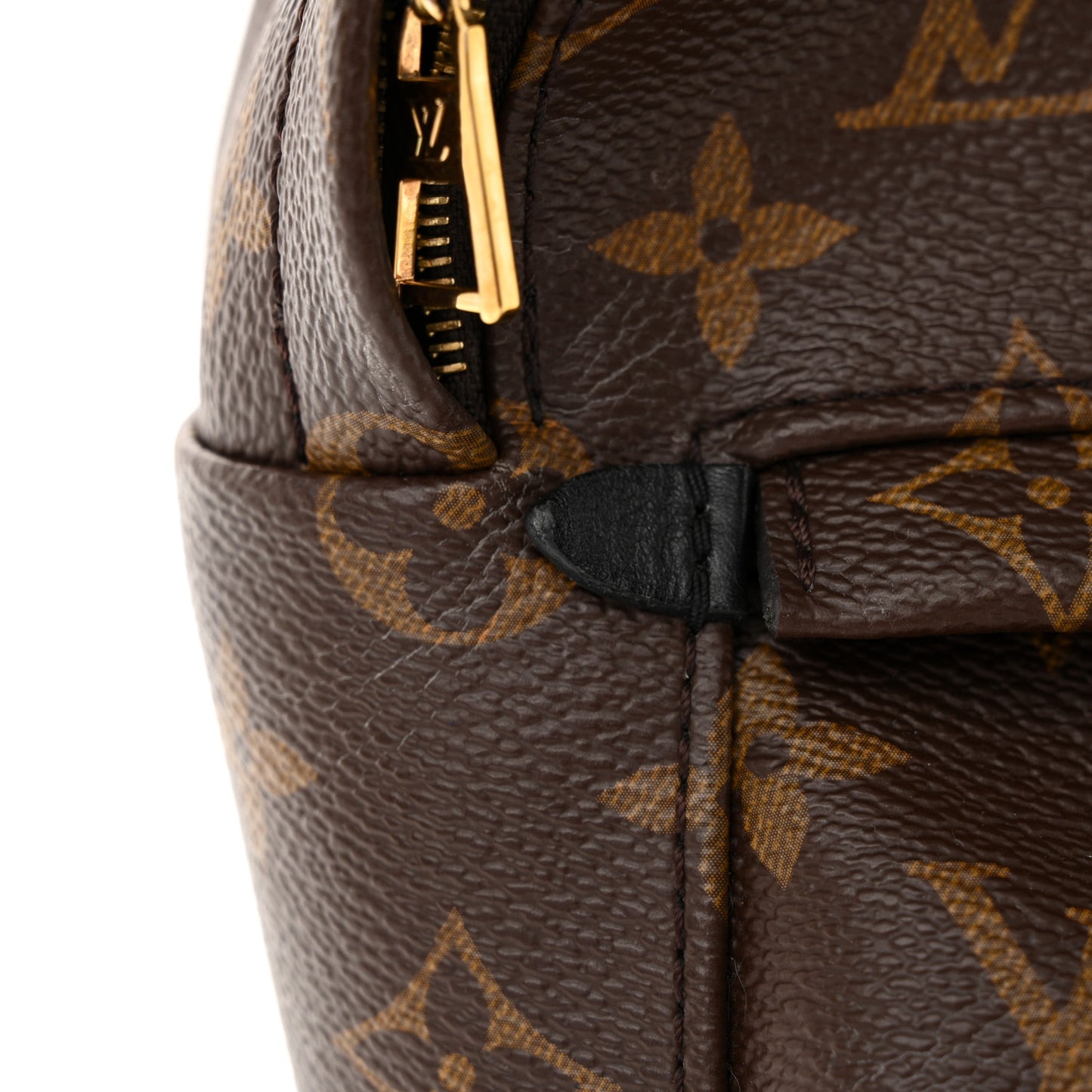 Monogram Palm Springs Backpack Mini