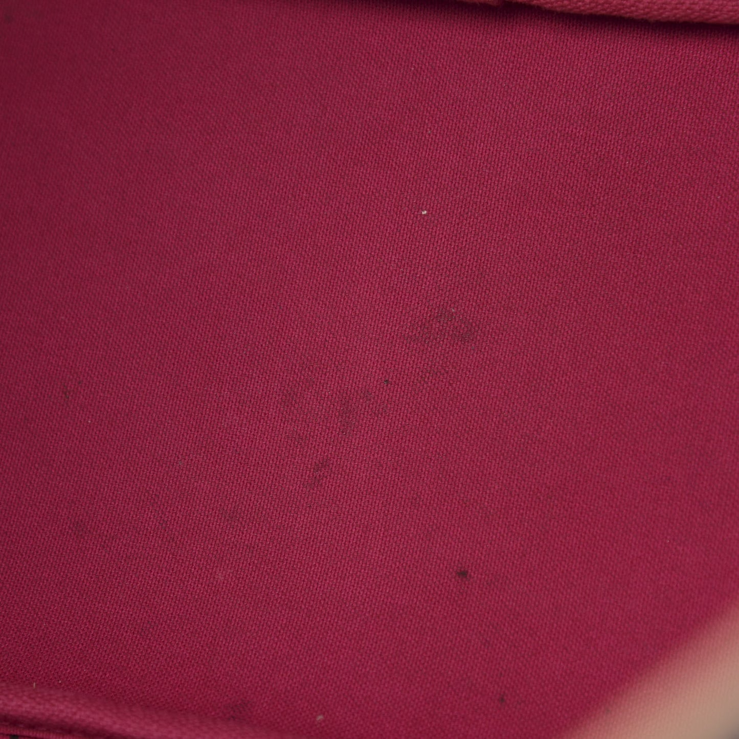 Monogram Neo Neverfull MM Pivoine