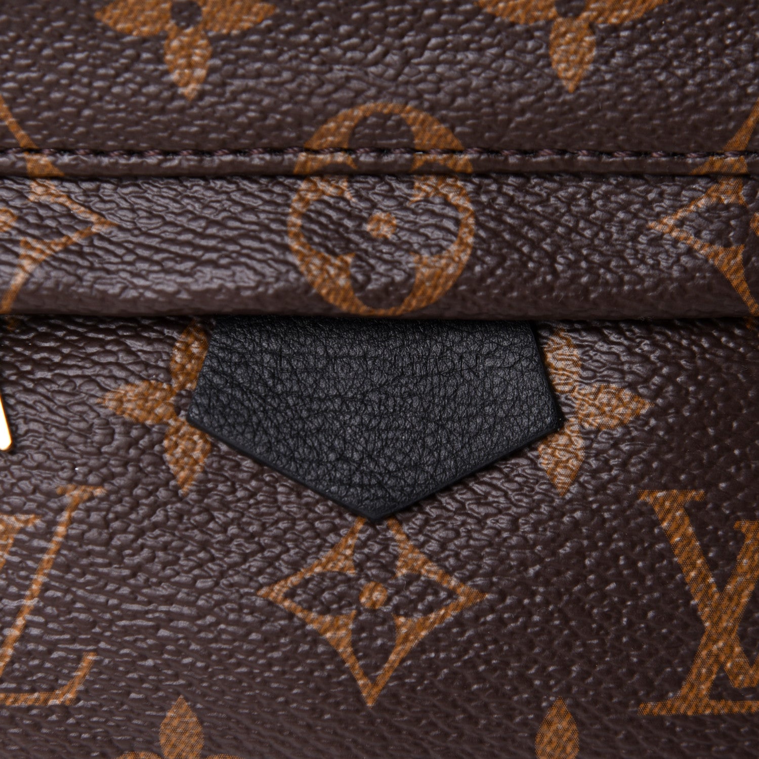 Louis Vuitton Monogram Palm Springs Backpack Mini 12 of 18