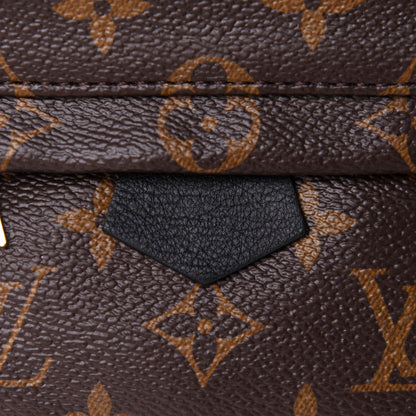 Louis Vuitton Monogram Palm Springs Backpack Mini 12 of 18