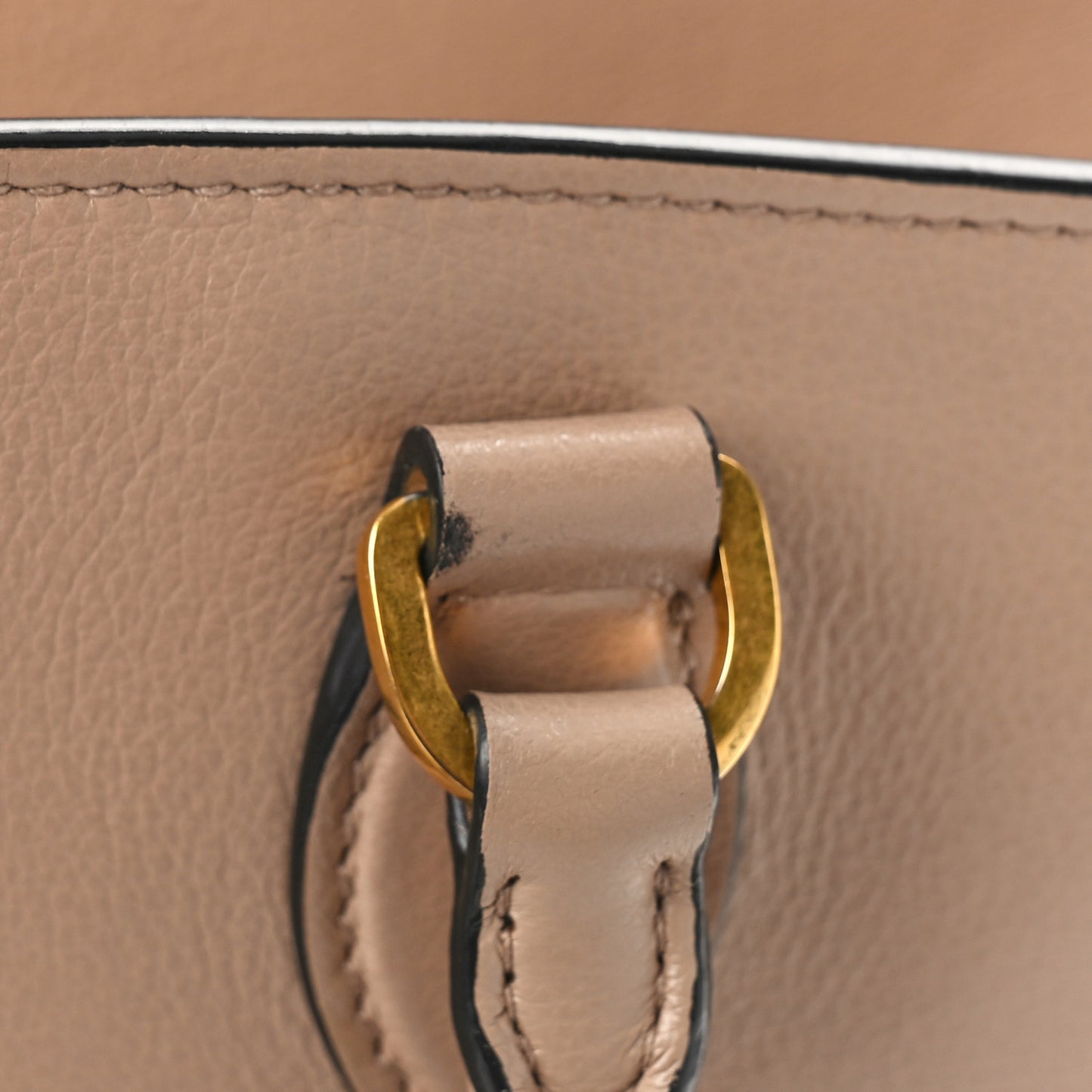 Glace Calfskin Tote Cammeo