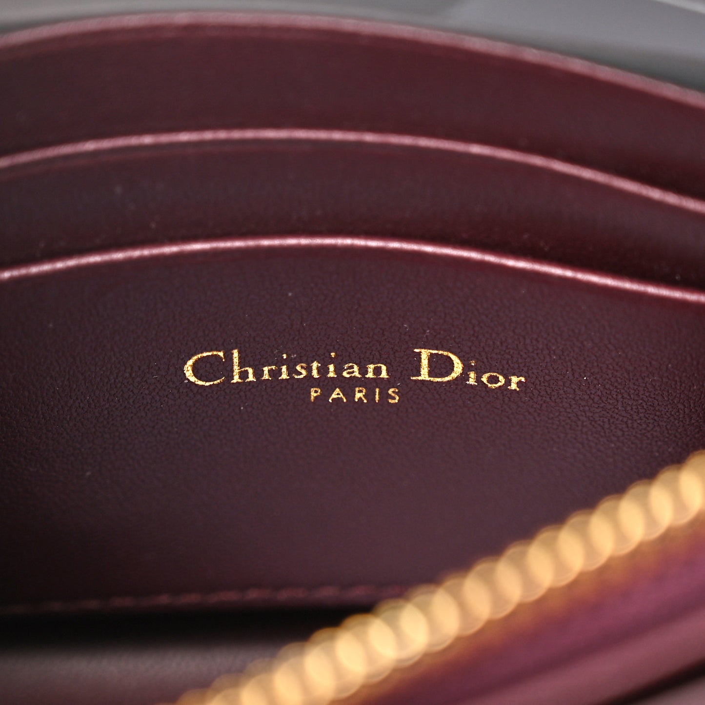 Patent Cannage Caro Zipped Pouch With Chain Amaranth