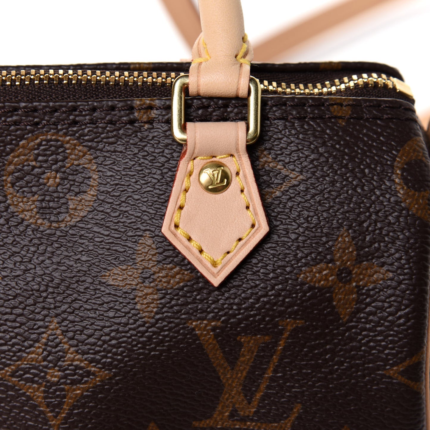 Monogram Nano Speedy