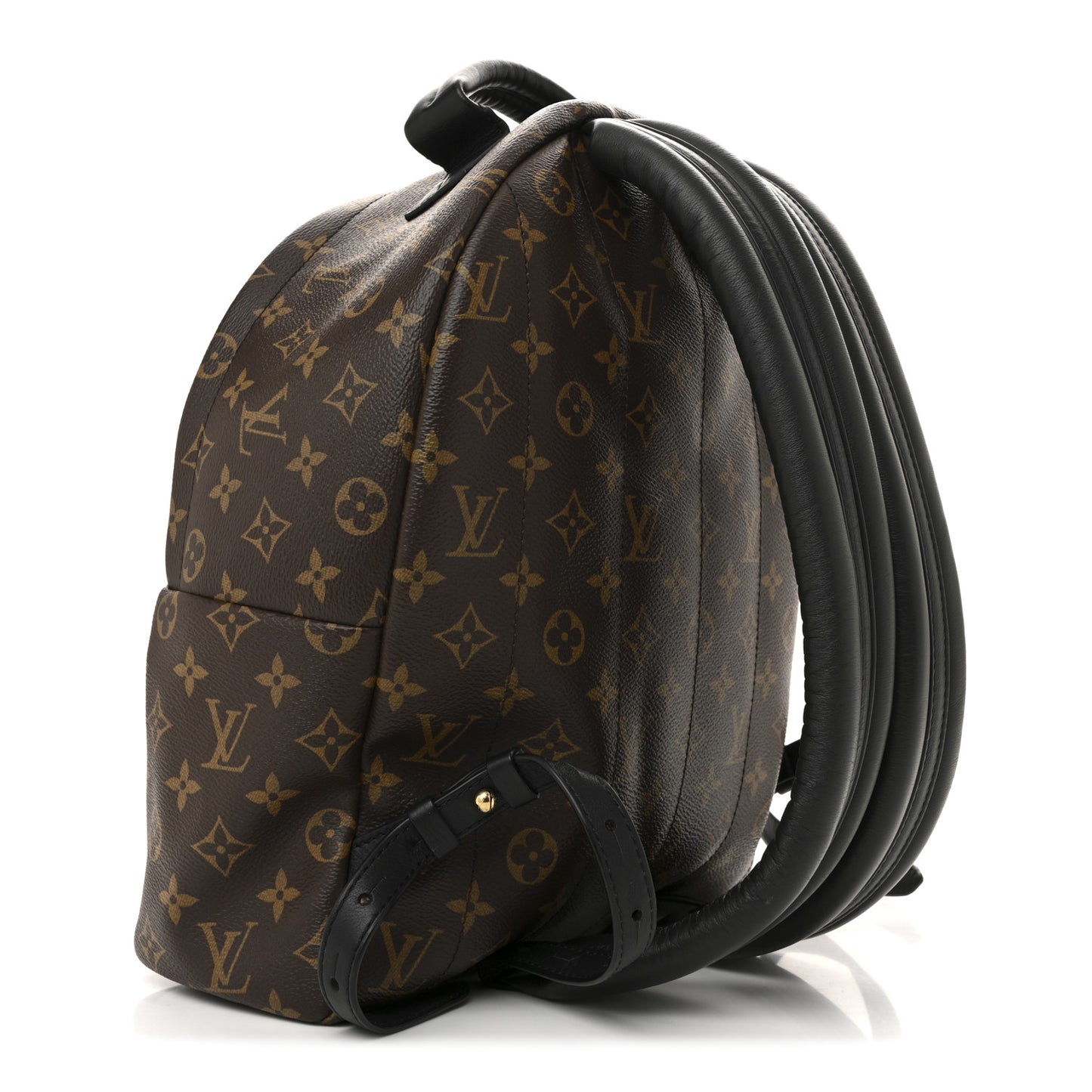 Monogram Palm Springs Backpack MM
