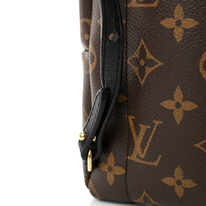 Louis Vuitton Monogram Palm Springs Backpack Mini 16 of 17