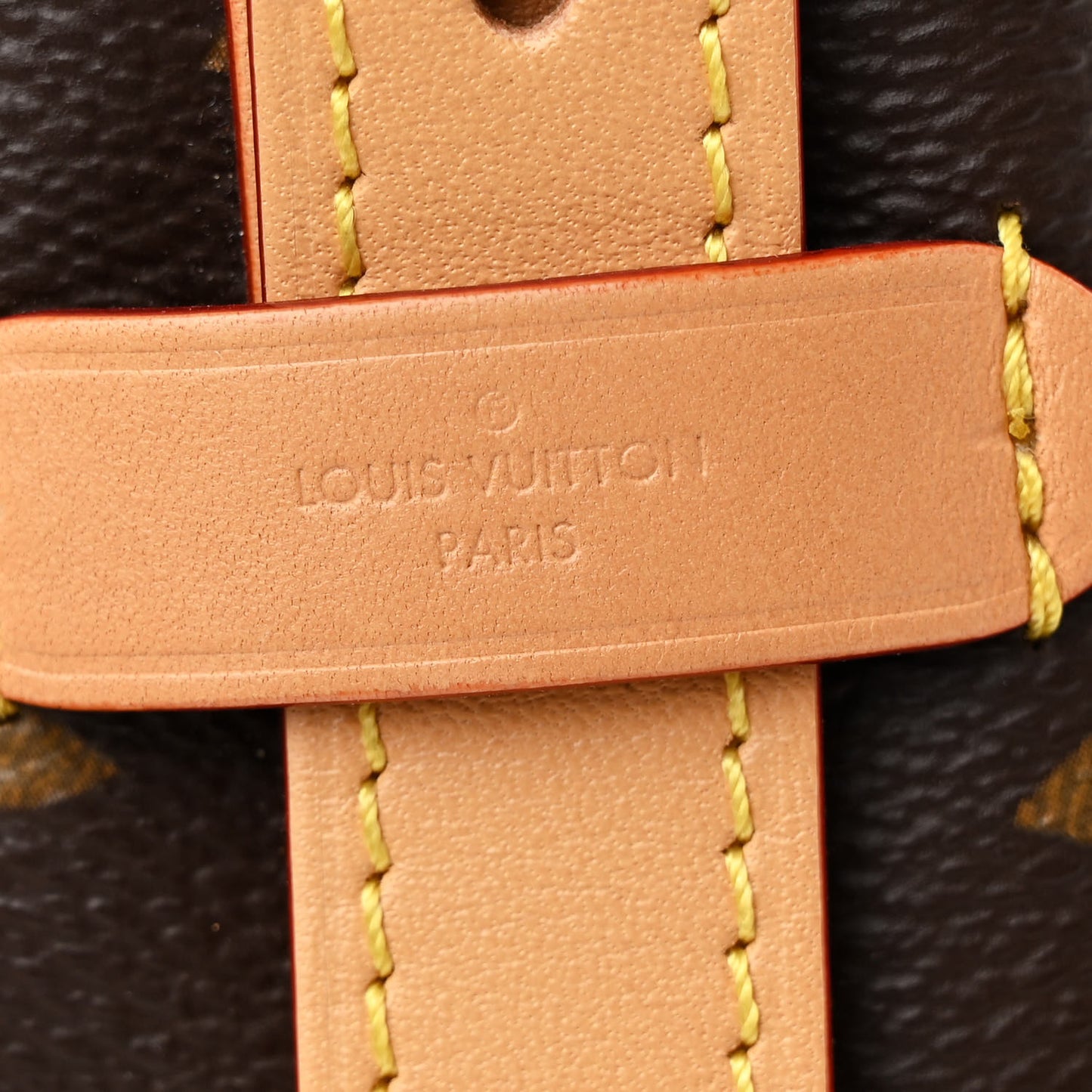 Monogram CarryAll MM