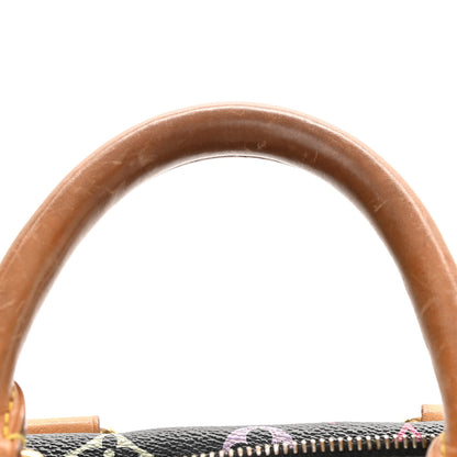 Louis Vuitton Monogram Multicolor Speedy 30 Black 12 of 17
