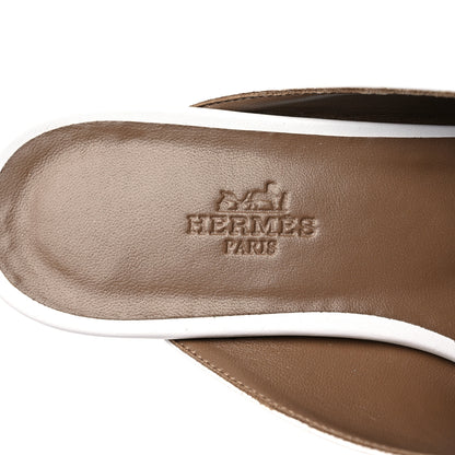 Hermes Shiny Alligator Calfskin Oz Mules 37 White Beige Gingembre 7 of 9