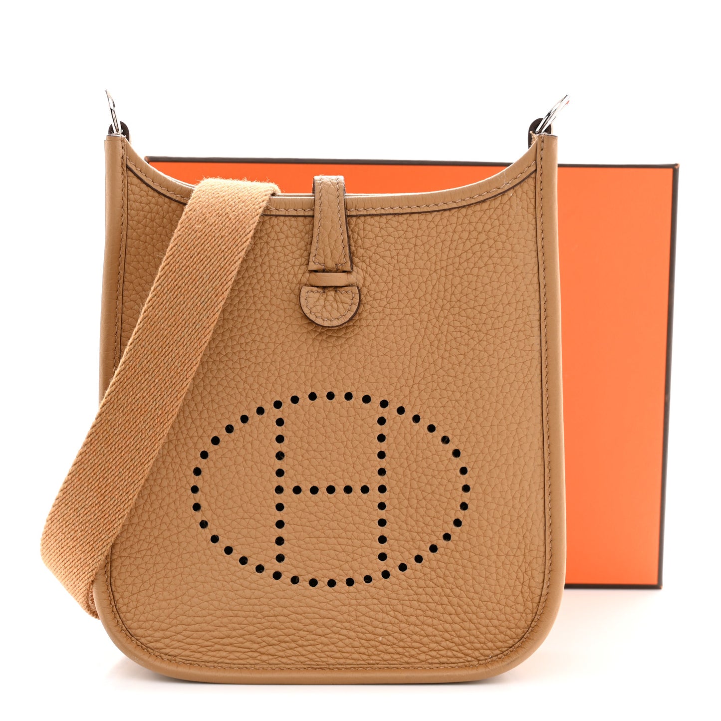 Taurillon Clemence Evelyne TPM Biscuit