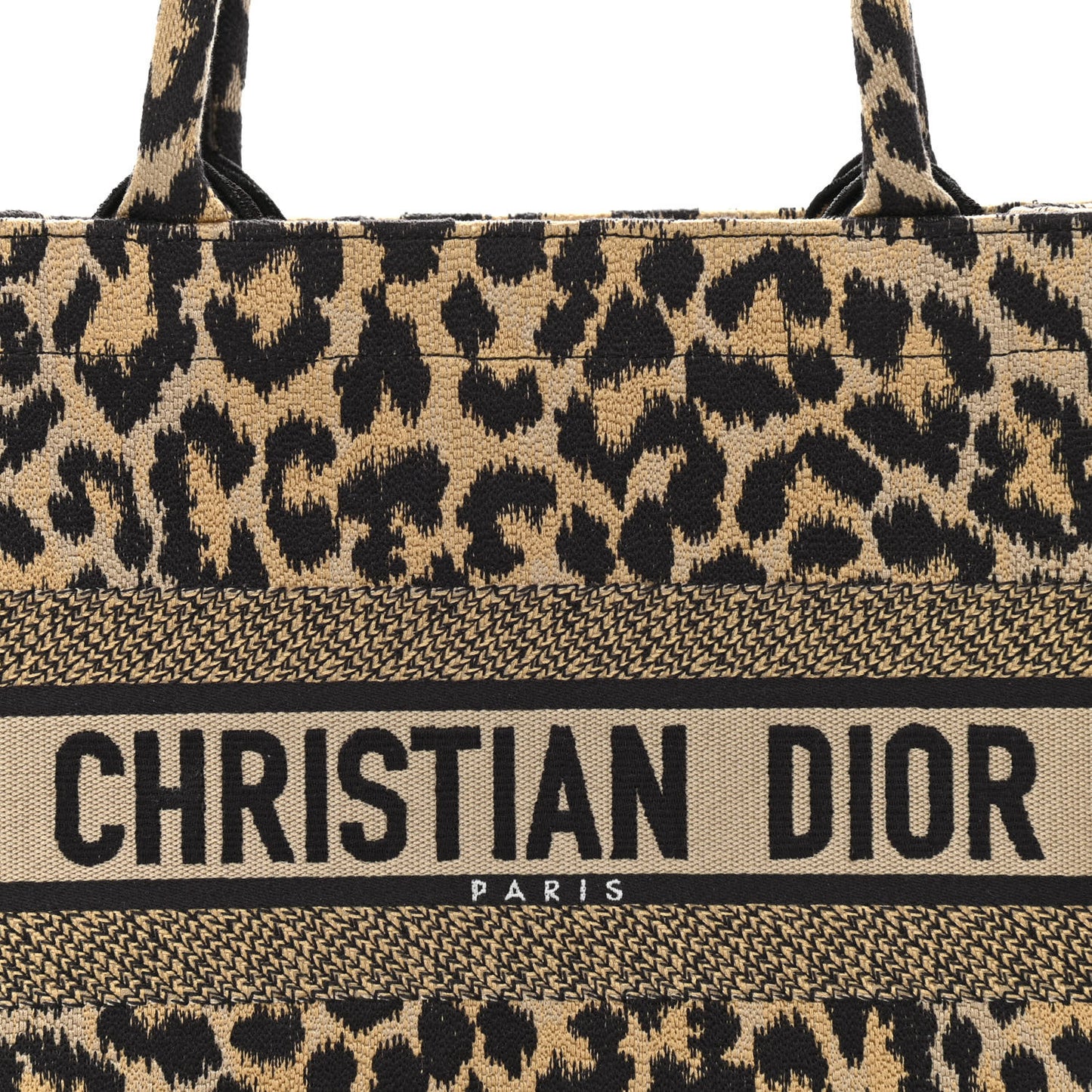 Canvas Mizza Embroidered Medium Leopard Book Tote Beige