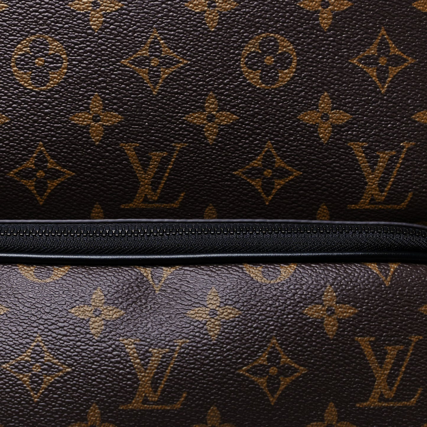 Monogram Macassar Dean Backpack