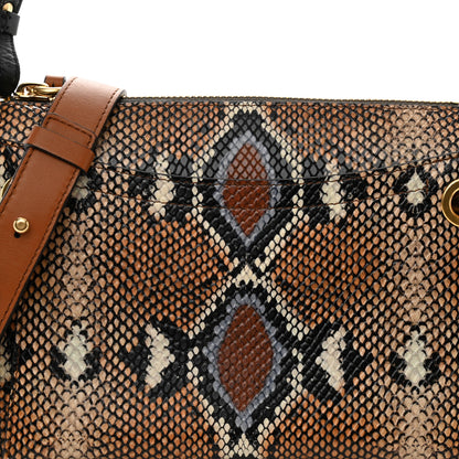 Chloe Calfskin Python Embossed Small Roy Bag Multicolor 8 of 11
