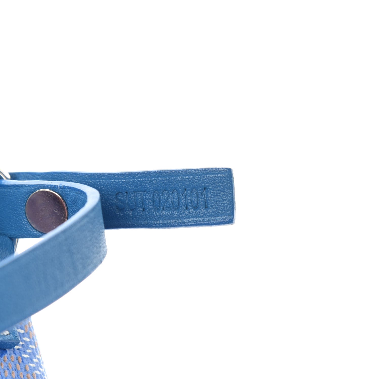 Goyard Goyardine Saint Louis GM Sky Blue 7 of 13